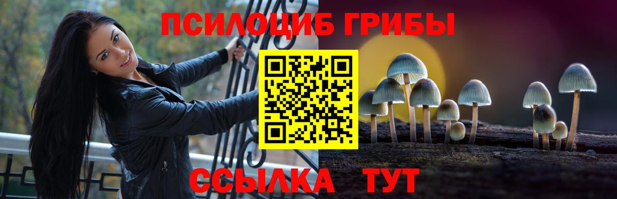 Галлюциногенные грибы Psilocybine cubensis  Вход с VPN  Елец 